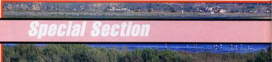 Special Section
